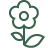 Plant Identification