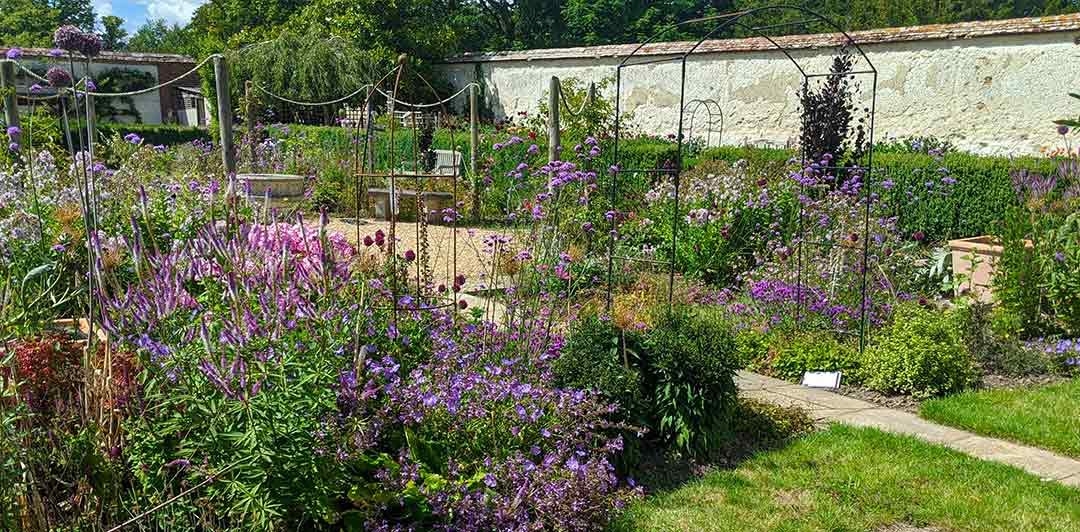 Garden Trends 2025