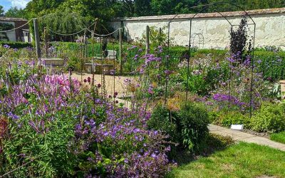 Garden Trends 2025