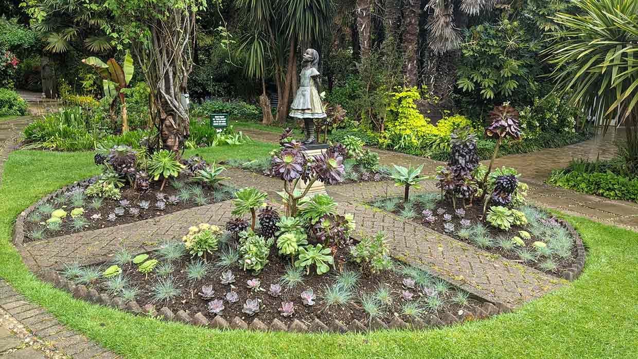Tropical summer planting