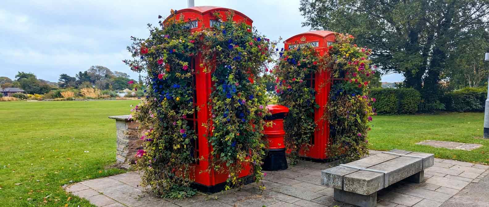 Red Phone boxes in Poole Park with red blue petunias trailing
