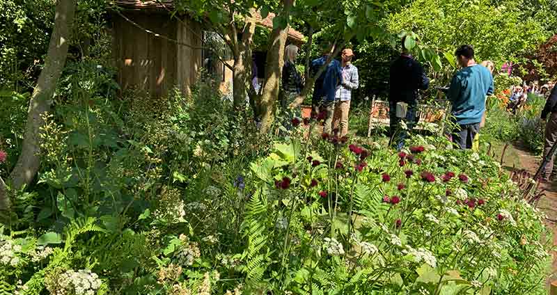 Monty Don's Barkification / Dog-friendly Garden at Chelseay Flowershow 2025